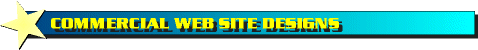 COMMERCIAL WEB SITES